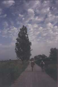 Caminando por la ma�ana