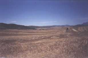 Campos de cereal. Experiencia m�stica.