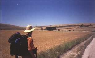 Hablando con un peregrino canadiense llegamos a Arroyo Sambol