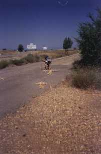 Contribuyendo a una de las flechas poco antes de llegar a Astorga.
